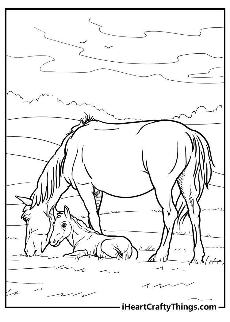 Horse Coloring Pages Printables PDF 