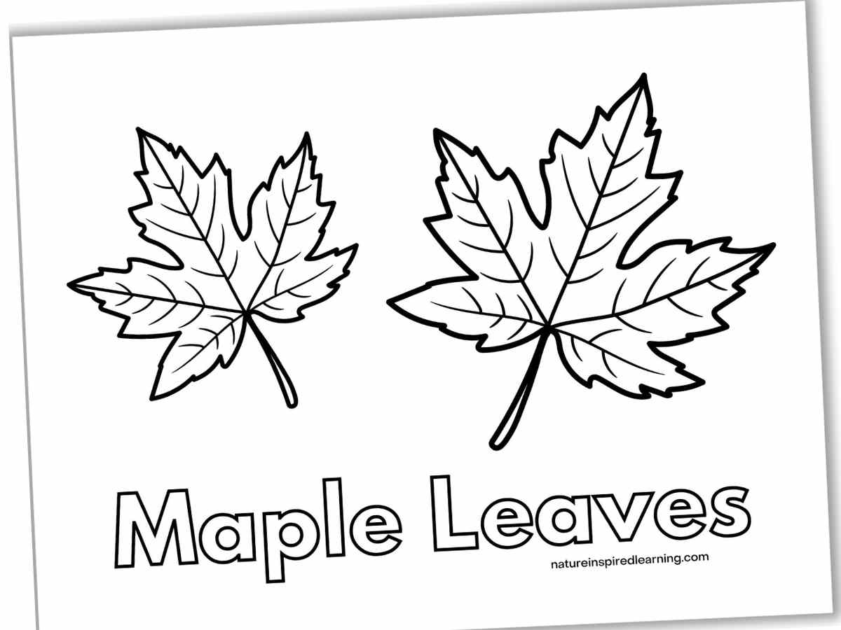 leaves coloring pages printable