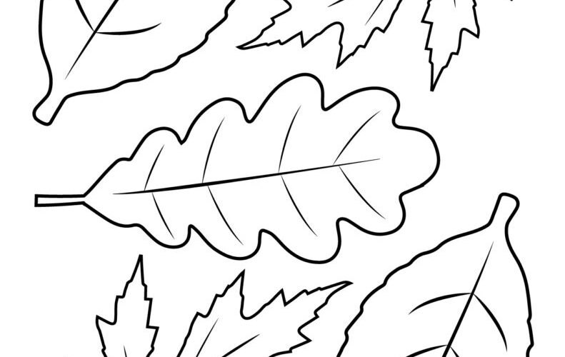 Leaf Outlines Templates Coloring Pages 55 FREE Pages Printabulls