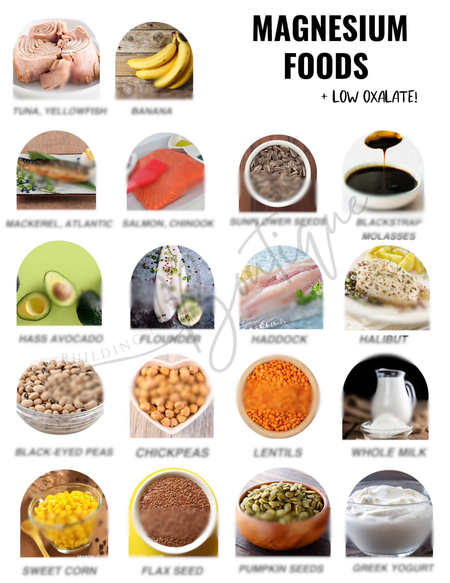 Magnesium Food Guide Printable Grocery List Digital Nutrition Guide Nutrition Poster Healthy Food List Digital Download High Magnesium Foods Etsy Finland