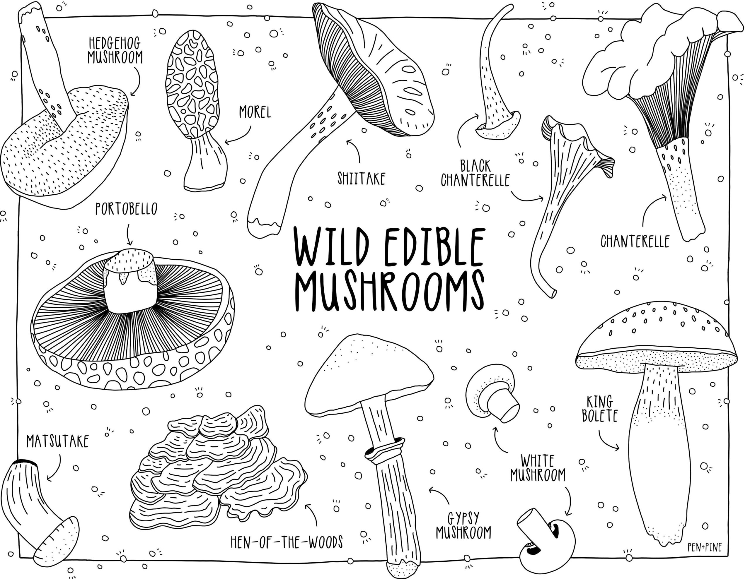 mushroom coloring pages printable