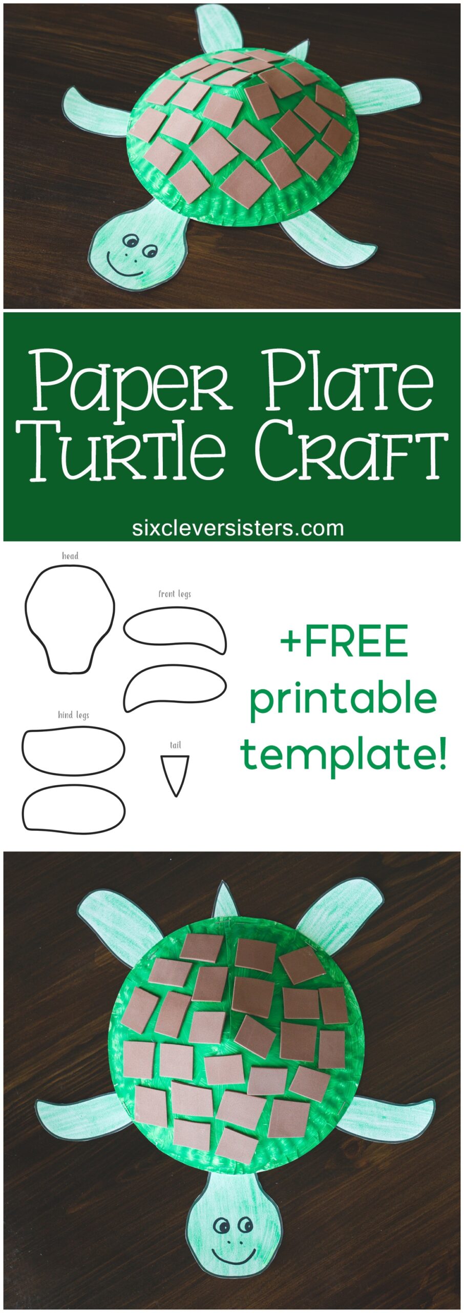 printable turtle template