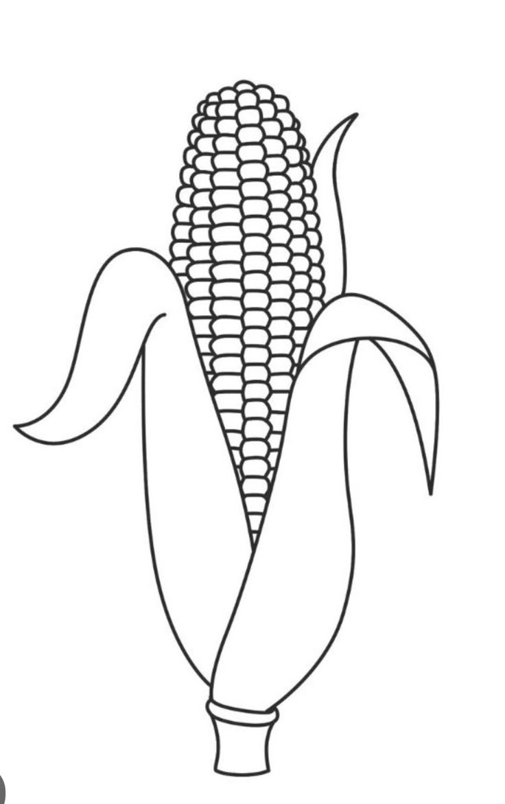 Pin By Veronica Alvarez On Fall Season Corn Drawing Coloring Pages Corn