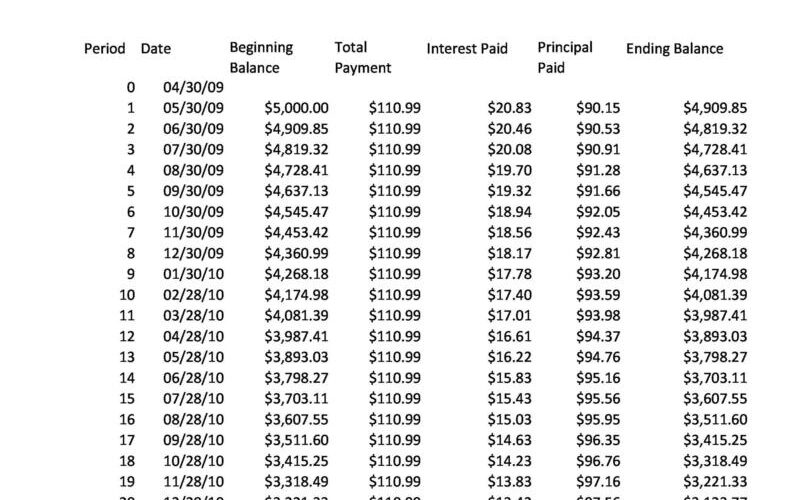 Printable Amortization Chart Www lx iriss uk