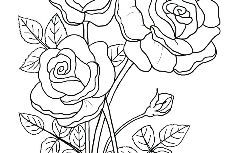 Printable Floral Coloring Sheets Coloring Pages Adult Coloring Pages Kids Coloring Pages Coloring Flowers Etsy Israel