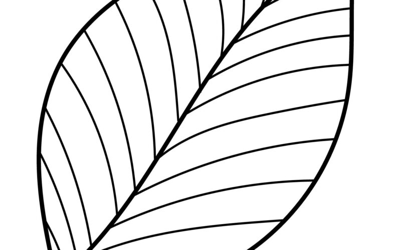 Printable Leaf Outline Templates Crafty Morning