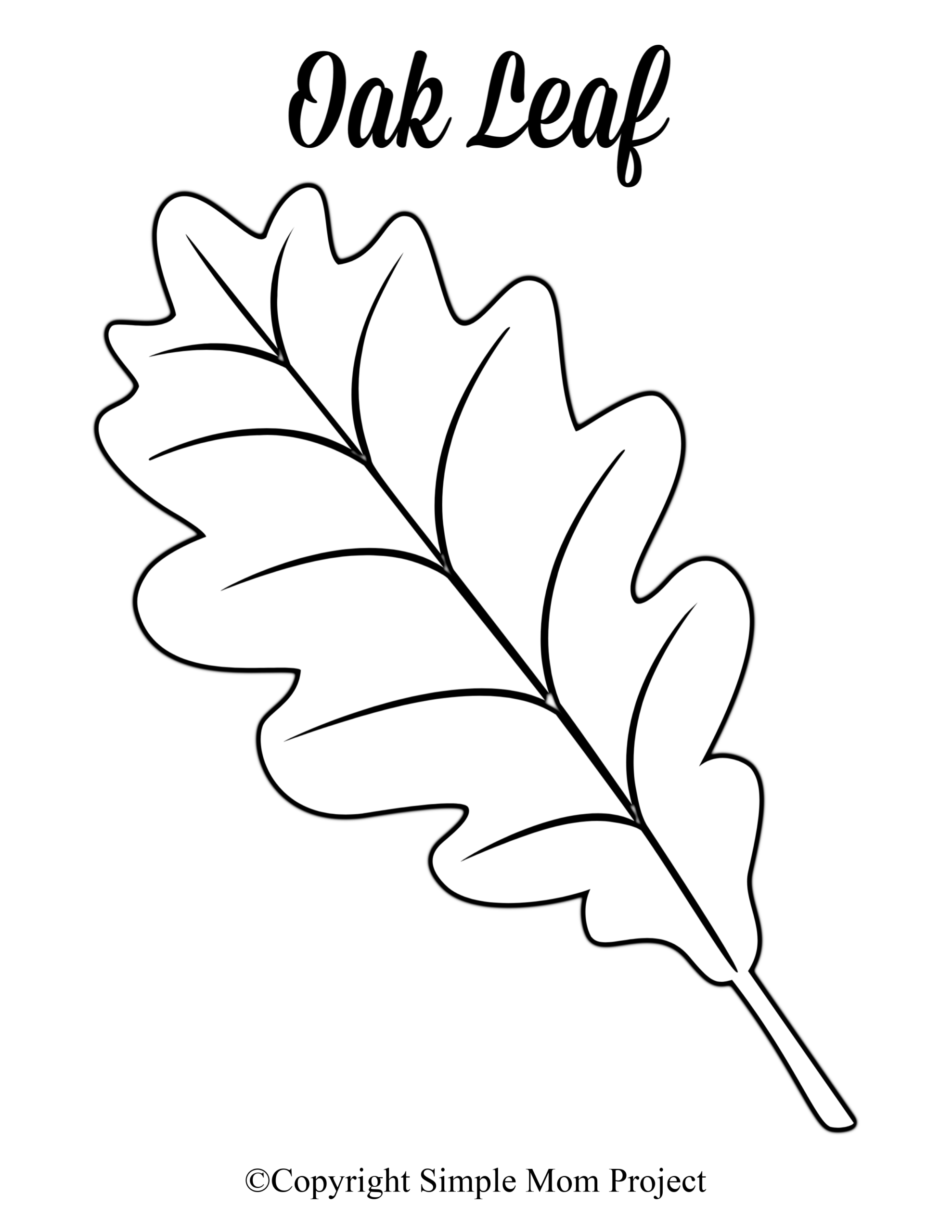 Printable Leaf Patterns Printable Bingo Cards Printable Leaf Patterns Printable Bingo Cards