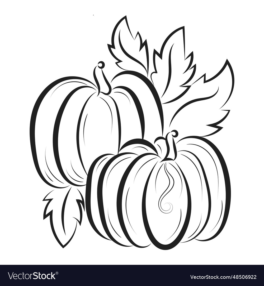 pumpkin coloring sheet printable