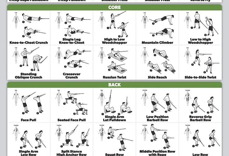 QUICKFIT Workout Poster Cable Machine An Exercise Chart For Cable Training Station Laminated Gym 18 X 24