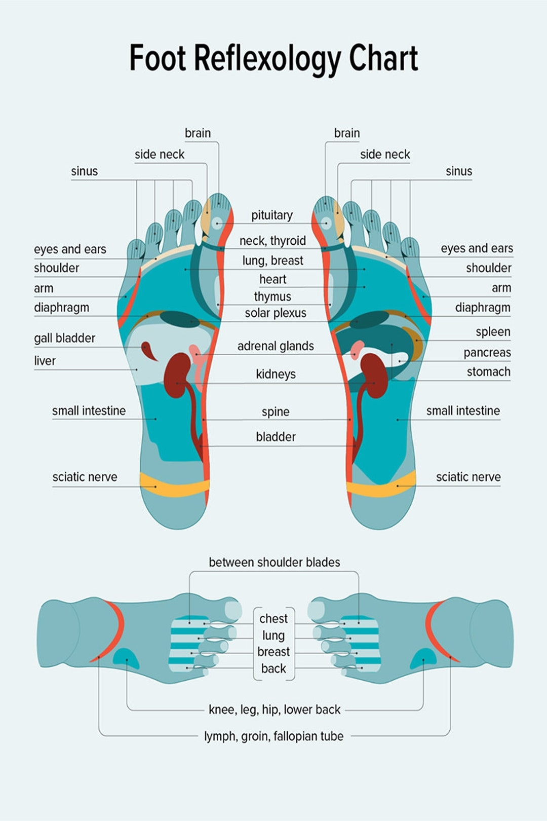 printable foot reflexology chart printable foot reflexology chart