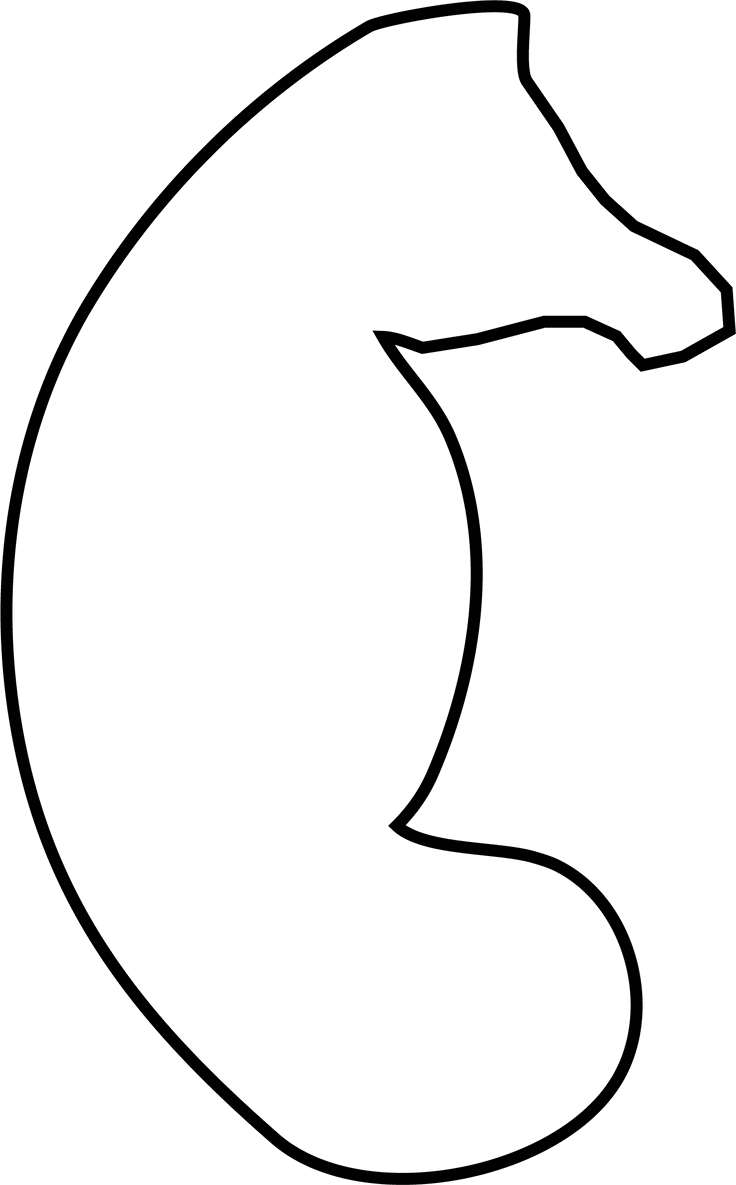 Seahorse Tissue Paper Beach Theme Craft Messy Momma Crafts