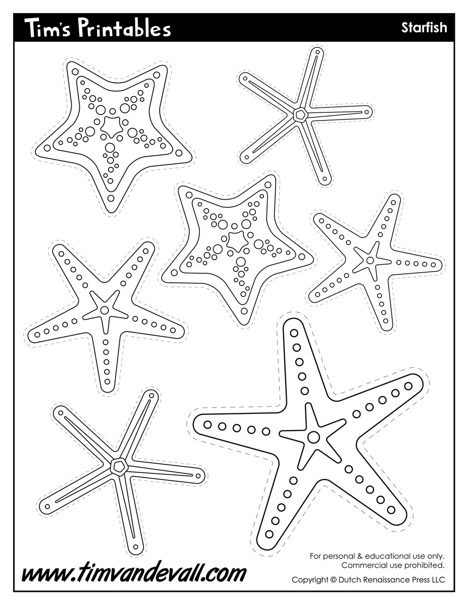 Starfish Template Sea Star Templates For Preschool Art Starfish Template Sea Star Templates For Preschool Art