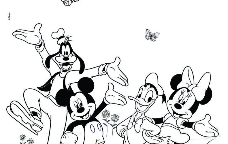 Summer Activity Sheets Fun The Official Site Of Disney On Ice