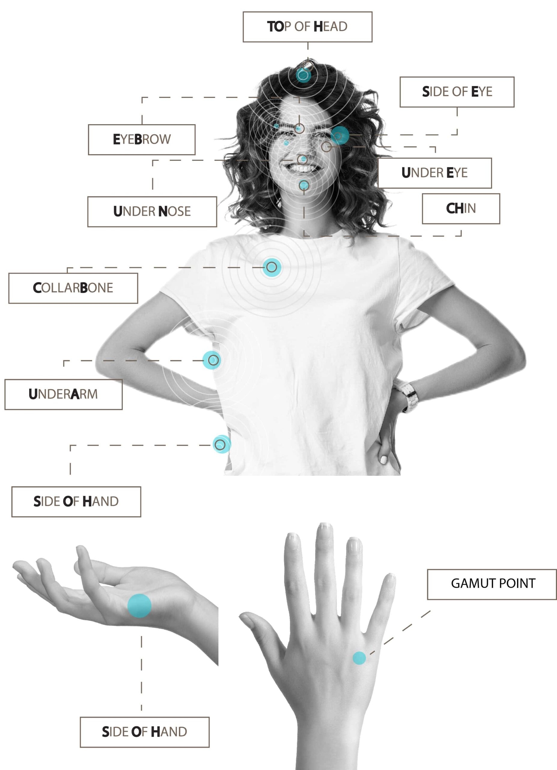 printable eft tapping points chart printable eft tapping points chart