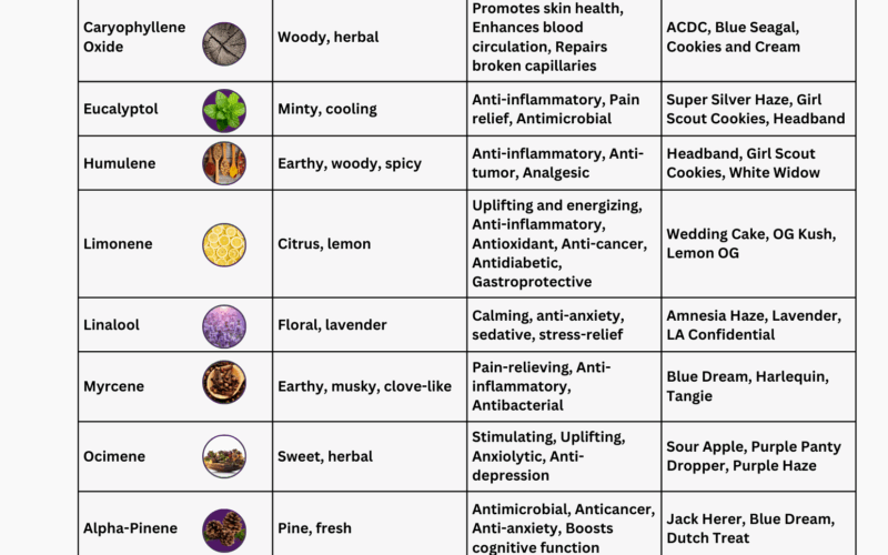The Ultimate Marijuana Terpene Chart 15 Popular Terpenes And Their Effects