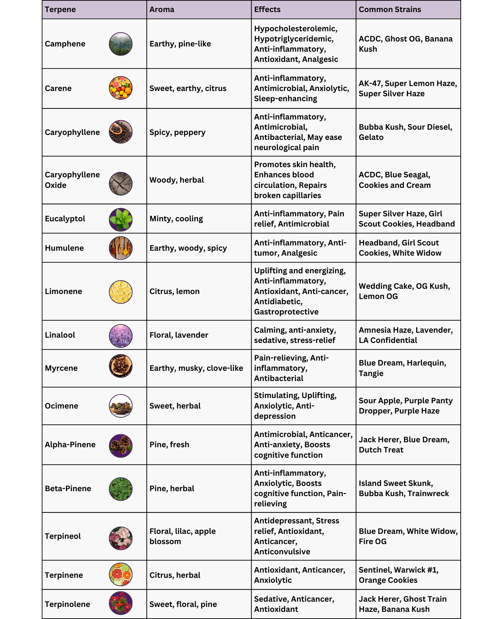 The Ultimate Marijuana Terpene Chart 15 Popular Terpenes And Their Effects The Ultimate Marijuana Terpene Chart 15 Popular Terpenes And Their Effects