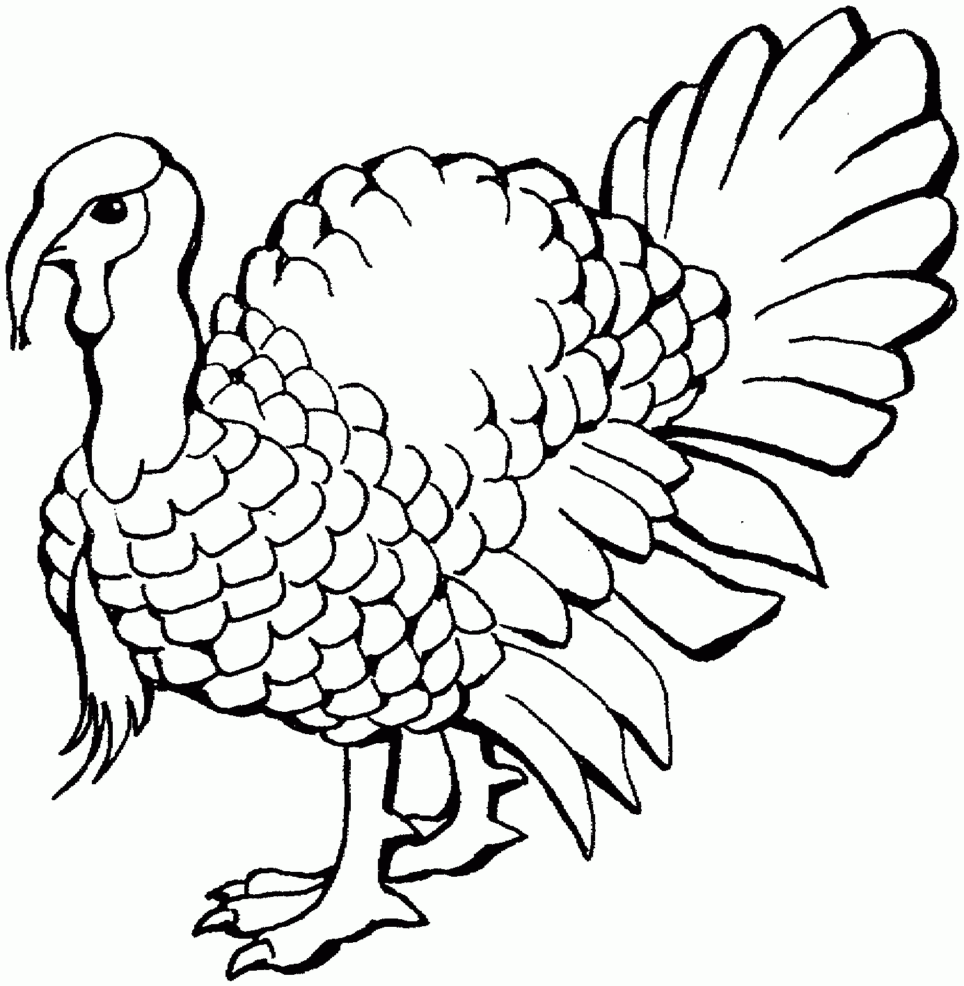 Turkey Coloring Sheets Printable Www lx iriss uk