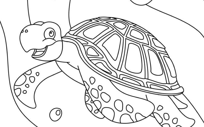 Turtle Coloring Pages Free Printable Sheets For Kids Skip To My Lou