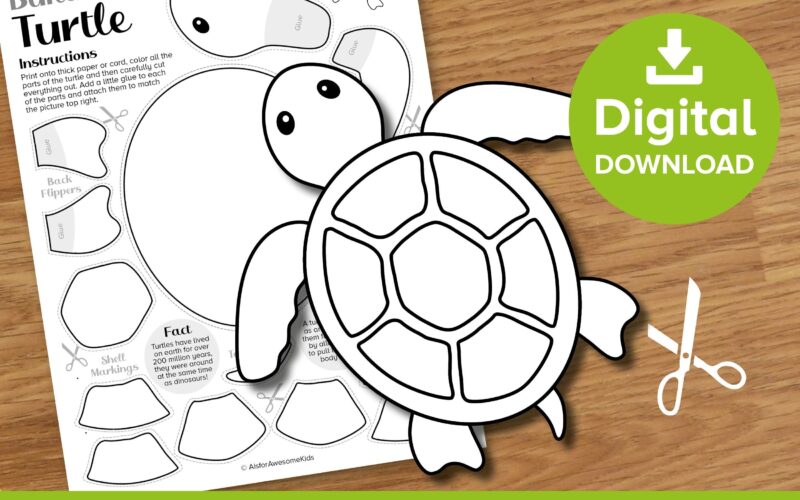 Turtle Cut Paste Craft Printable Spring Color And Build Art Kit Ocean Animals Puppet Model Underwater Sea Creatures Activity Template Etsy