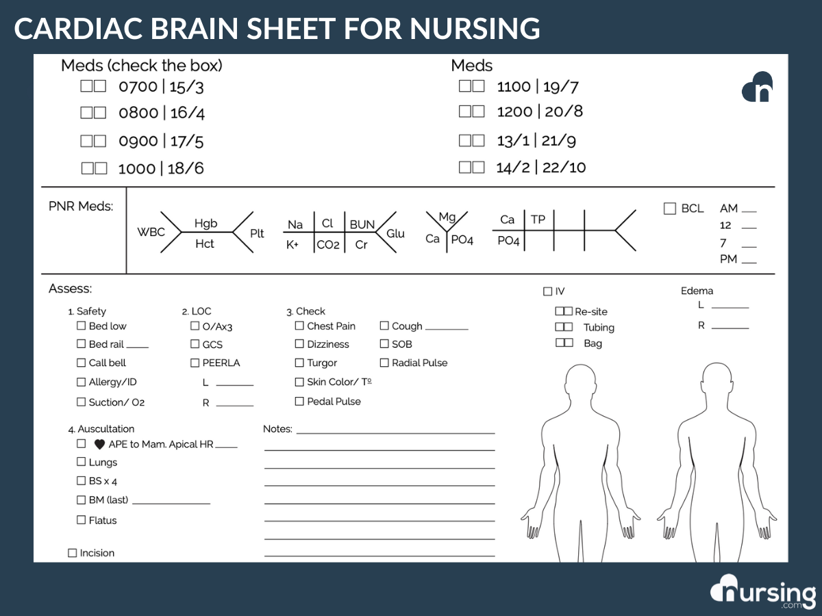 printable nurse brain sheet pdf