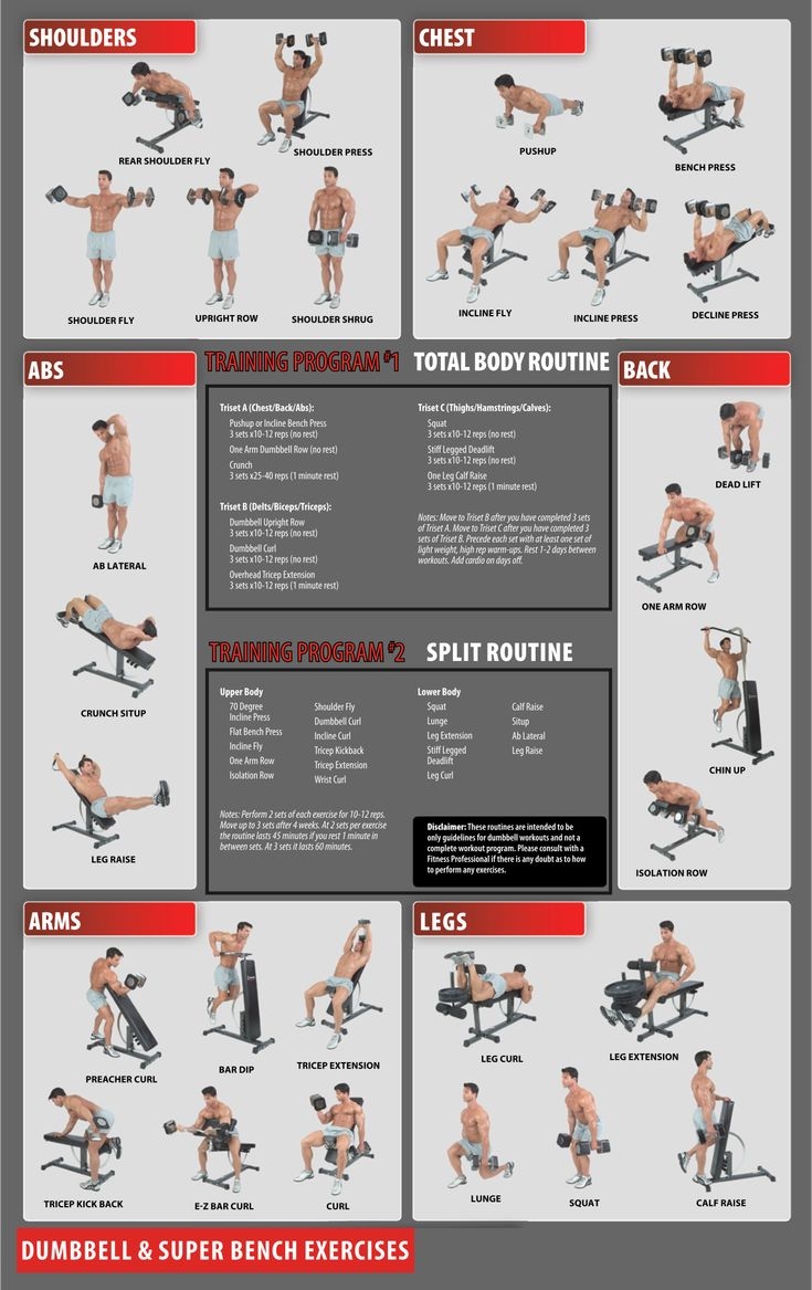 Workout Charts Exercises 10 Free PDF Printables Printablee Free Weight Workout Weight Lifting Workouts  Workout Charts Exercises 10 Free PDF Printables Printablee Free Weight Workout Weight Lifting Workouts