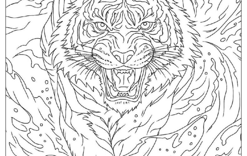 3 000 Adult Coloring Pages Free PDF To Print Woo Coloring