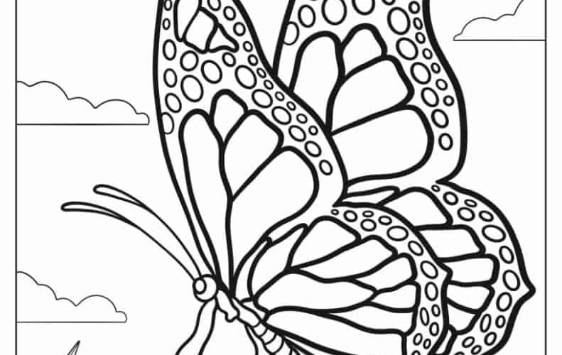 62 Butterfly Coloring Pages Free PDF Printables