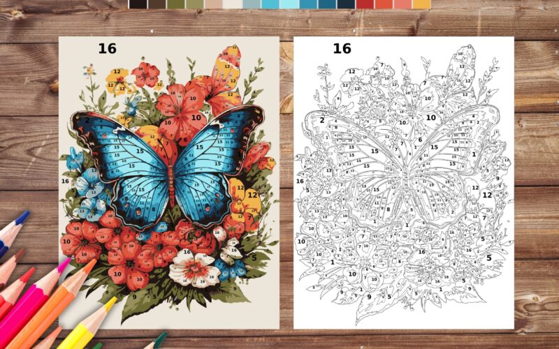 Color By Number For Adults Butterfly Paint By Number Printable Coloring Pages Sheets Digital Download PDF Etsy