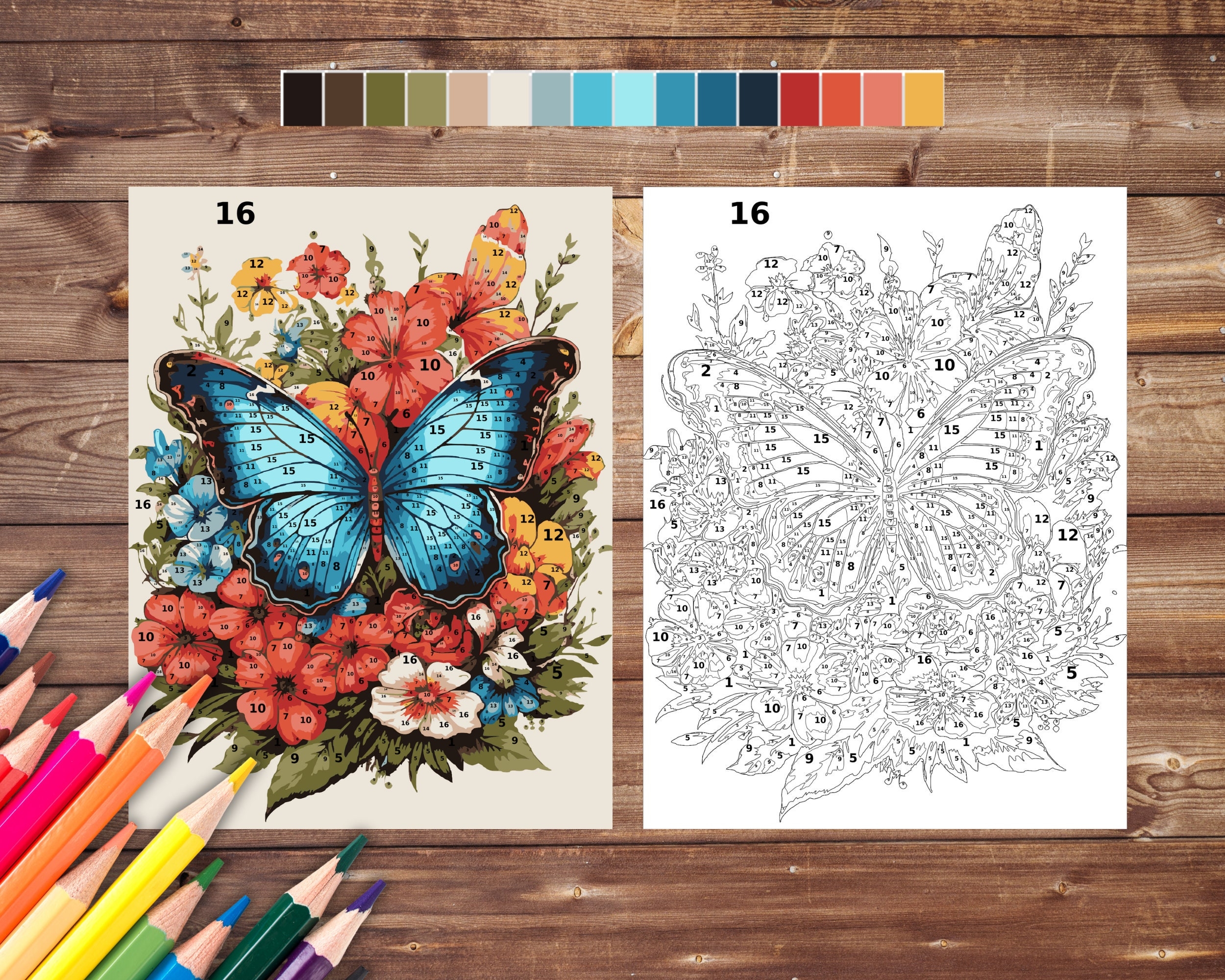 Color By Number For Adults Butterfly Paint By Number Printable Coloring Pages Sheets Digital Download PDF Etsy