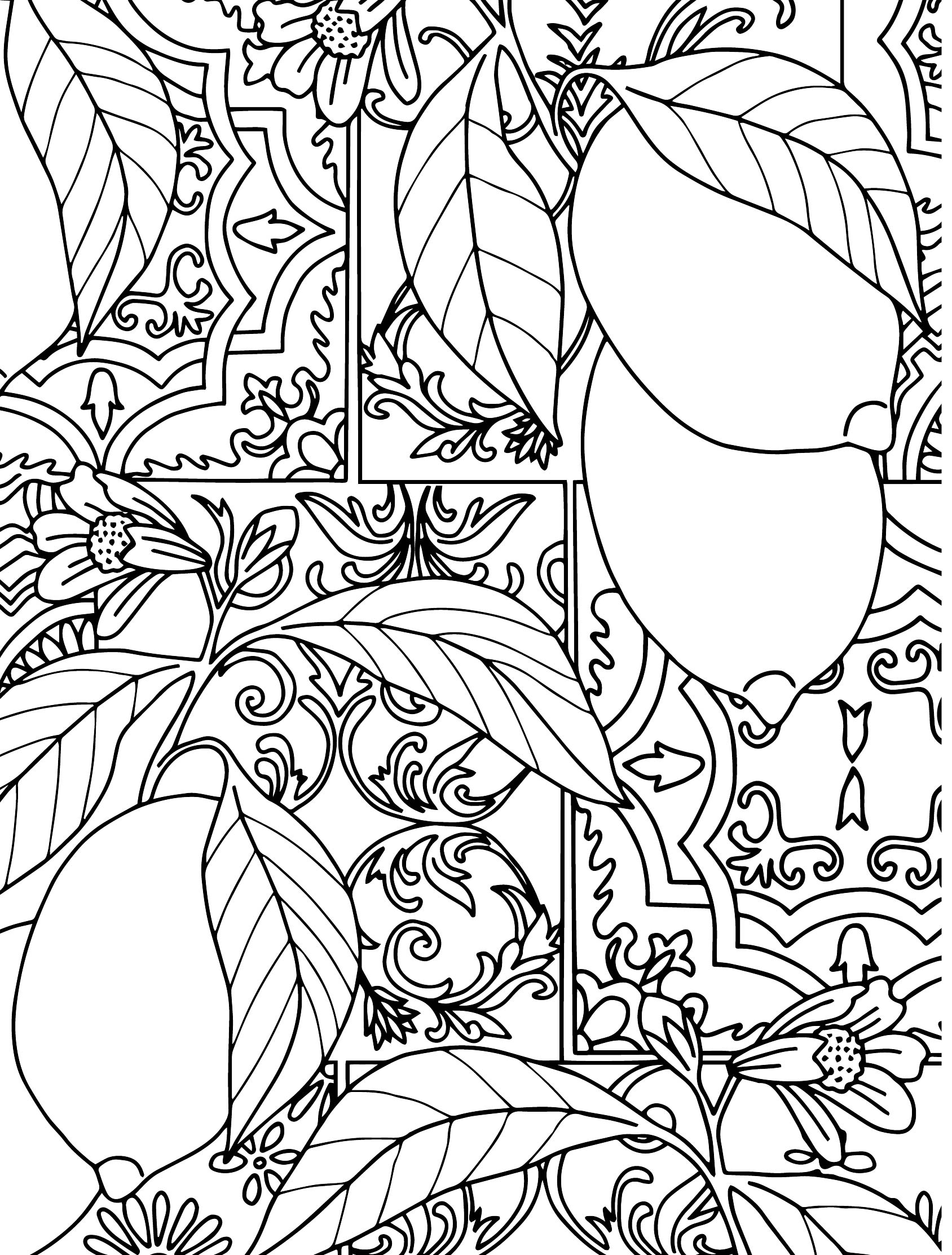 printable coloring pages for adults free