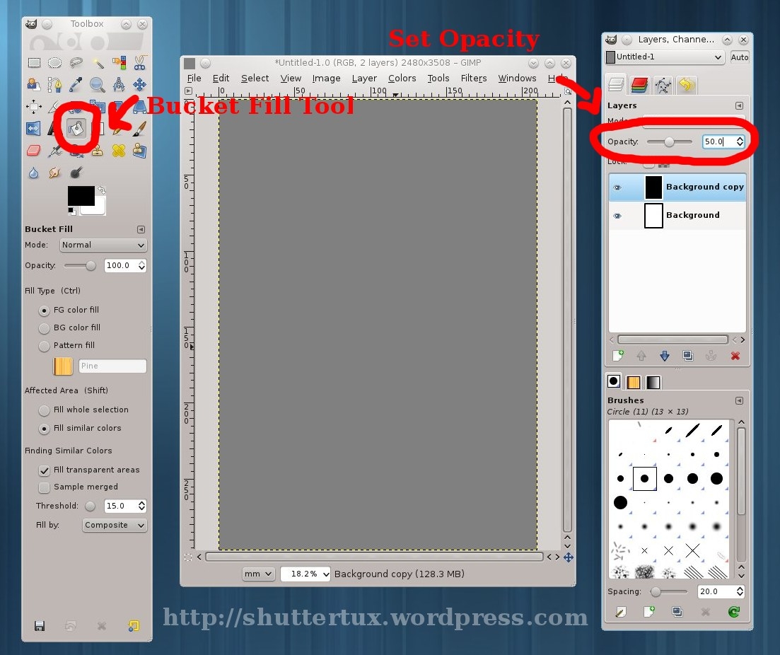 Do It Yourself 18 Grey Card ShutterTux Photography Life 