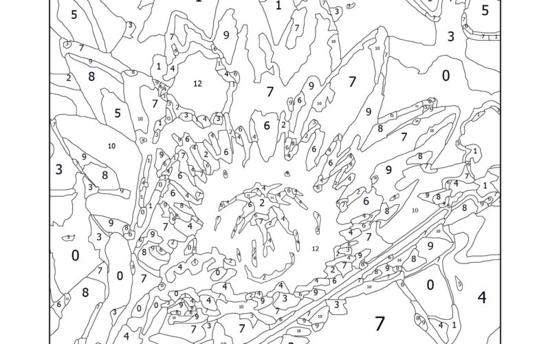 Extreme Color By Number 10 Free PDF Printables Printablee