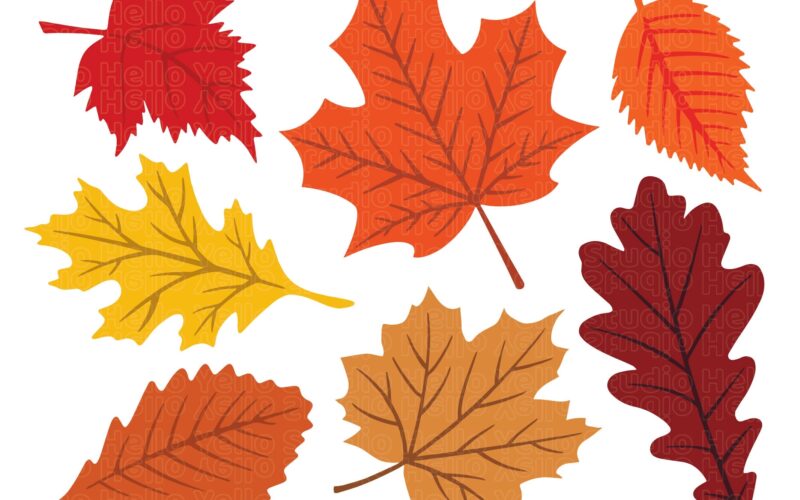 Fall Leaves Svg Fall Svg Fall Leaf Svg Bundle Fall Png Dxf Clipart Cut Files For Cricut Glowforge Files Silhouette Halloween Svg Etsy