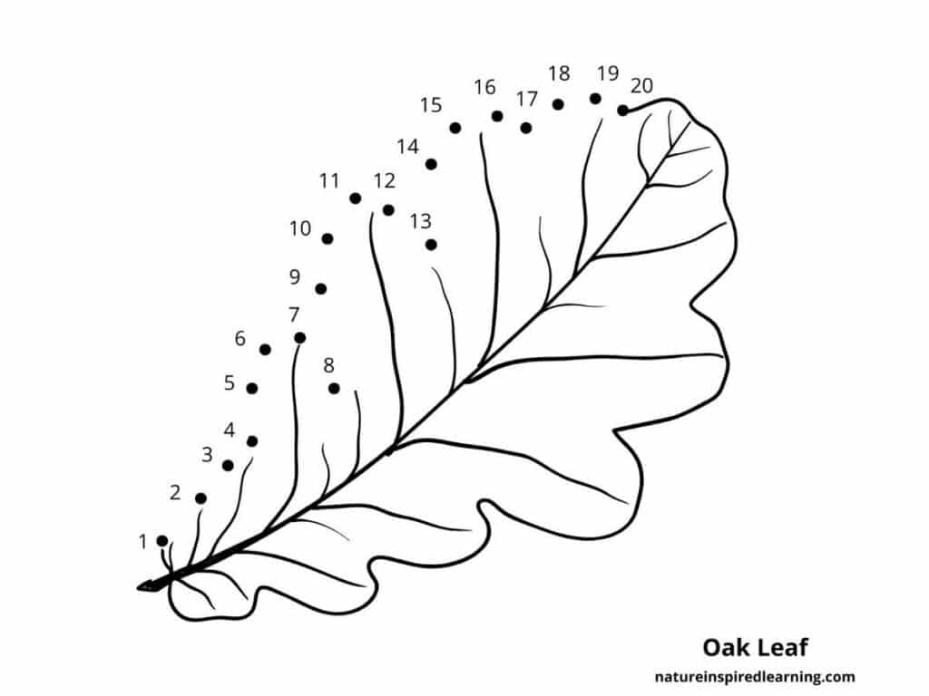 Free Dot To Dot Worksheets 1 20 Nature Inspired Learning Free Dot To Dot Worksheets 1 20 Nature Inspired Learning