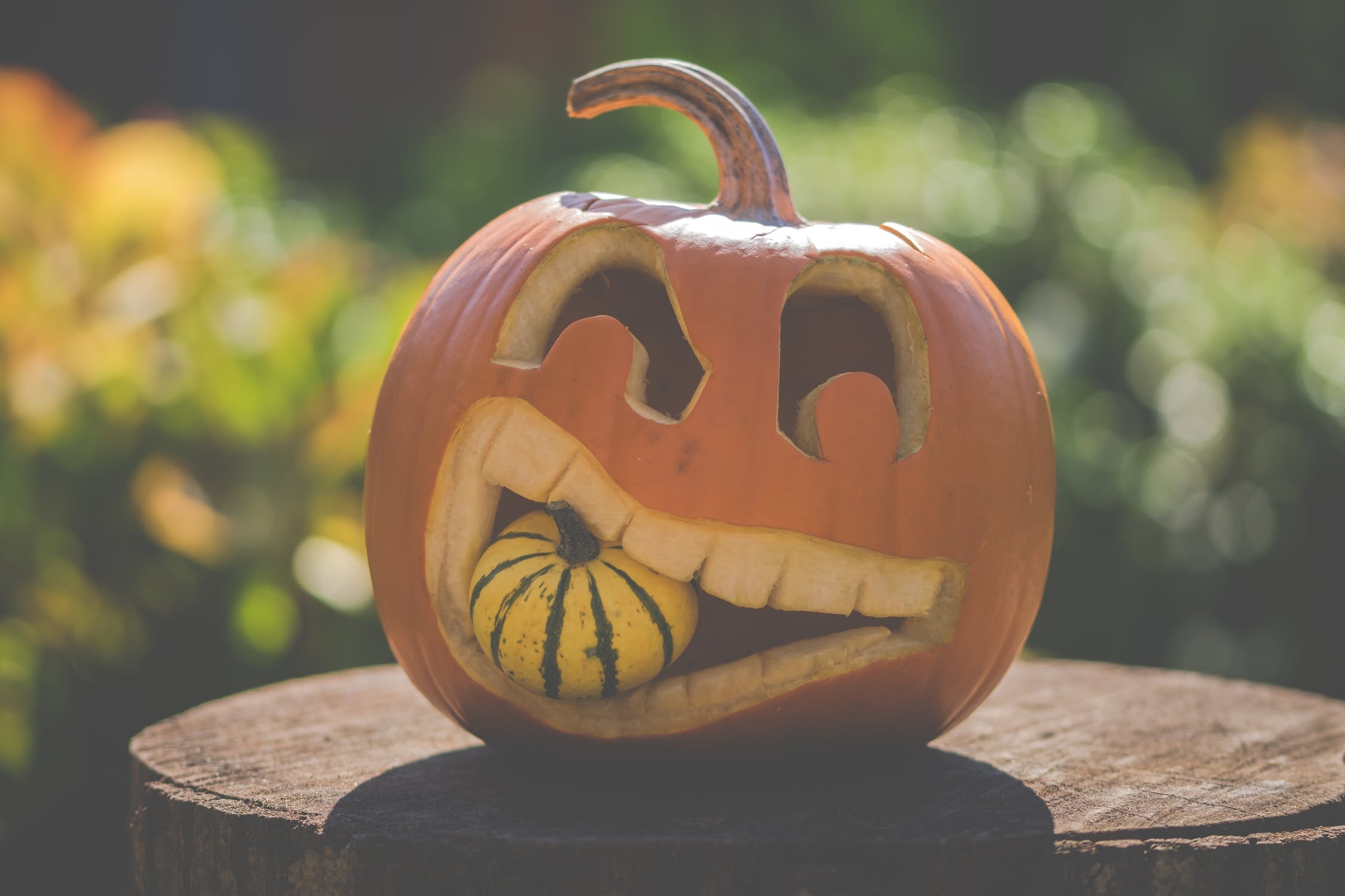 pumpkin carving designs free printable pumpkin carving designs free printable