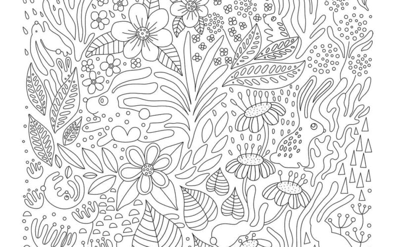 Free Hidden Picture Printables To Color Skip To My Lou