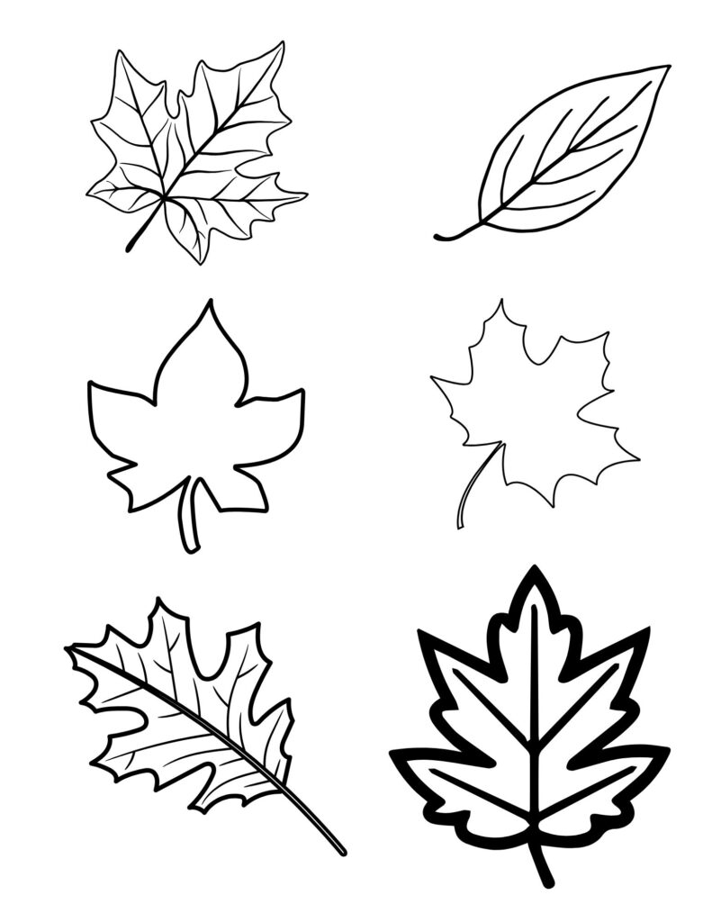 Free Printable Autumn Leaves Templates Free Printable Autumn Leaves Templates
