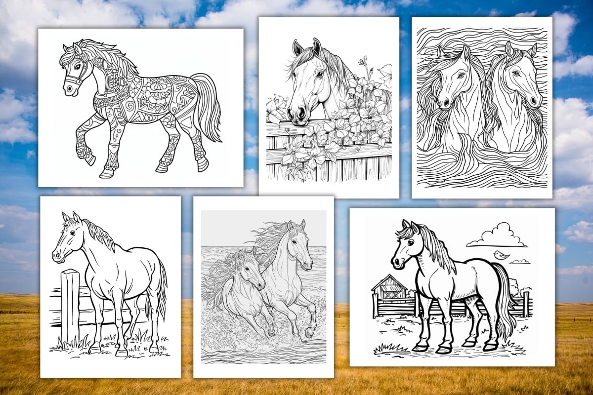horse printable colouring pages horse printable colouring pages