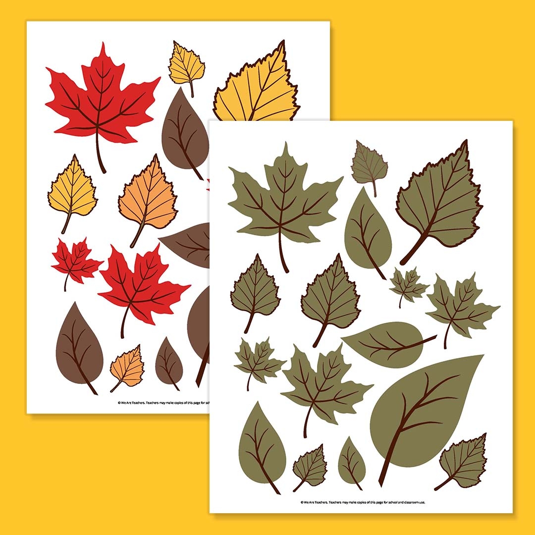 Free Printable Leaf Template Bundle For Fall Free Printable Leaf Template Bundle For Fall