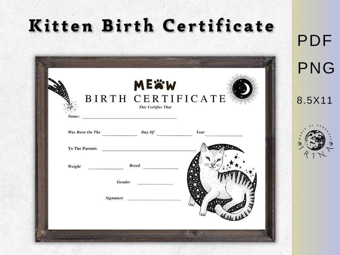 cat birth certificate free printable pdf
