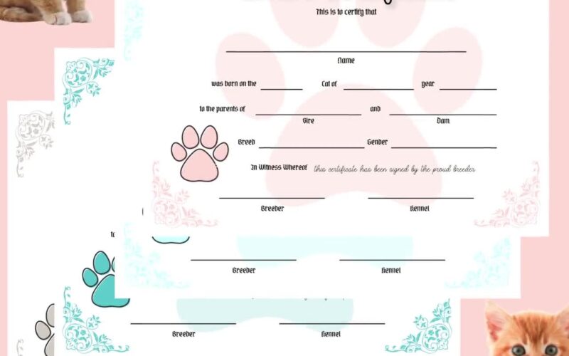 Kitty Birth Certificate Pet Birth Certificate For Kittens Editable PDF COO1 Etsy