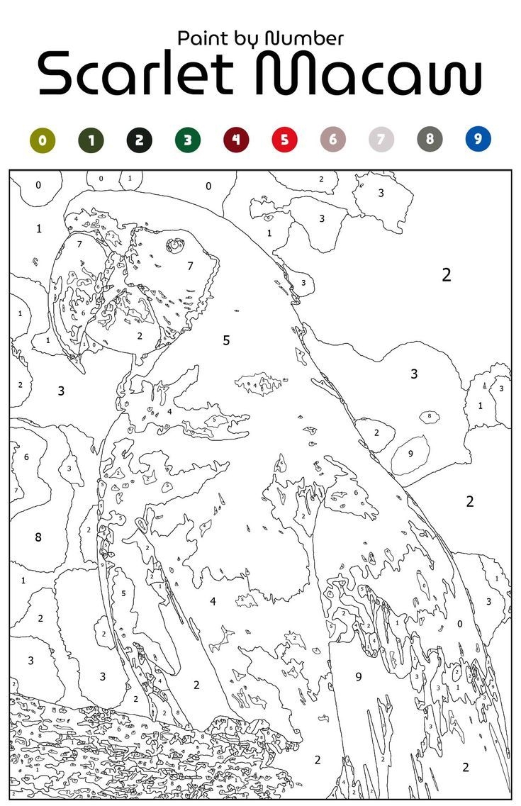Paint By Number Printable Templates