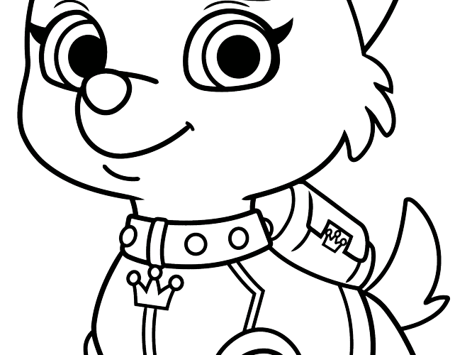 Sweetie From Paw Patrol Coloring Page Easy Drawing Guides